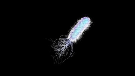 Hastanelerde sessiz tehdit: Pseudomonas aeruginosa tıbbi plastiklerle besleniyor!